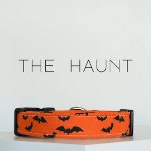 Halloween Bats Dog Collar, Spooky Fall Pet Collar &quot;The Haunt&quot;