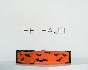 Halloween Bats Dog Collar, Spooky Fall Pet Collar "The Haunt"