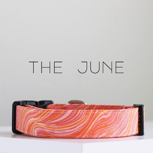 May include: A pet collar featuring a swirling marbled pattern in shades of orange, pink, and white. The collar includes a black plastic side-release buckle and a metal D-ring. The text THE JUNE is printed in black above the collar.
