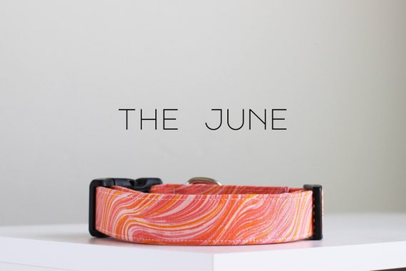 Retro Print Dog Collar, Cute Handmade Dog Collar "The June"