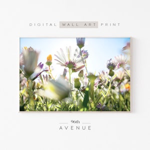 Flower Photography Printable Wall Art | Flower Field Print | Digital Download
