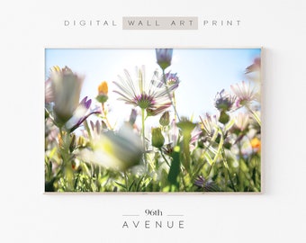 Flower Photography Printable Wall Art | Flower Field Print | Digital Download