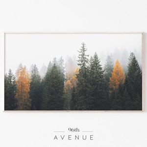 Samsung Frame Tv Art | Frame Tv Art Forest | Fall Frame Tv Art | Foggy Forest Art |Digital Download |Frame Tv Landscape |Evergreen Trees Art
