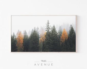 Samsung Frame Tv Art | Frame Tv Art Forest | Fall Frame Tv Art | Foggy Forest Art |Digital Download |Frame Tv Landscape |Evergreen Trees Art