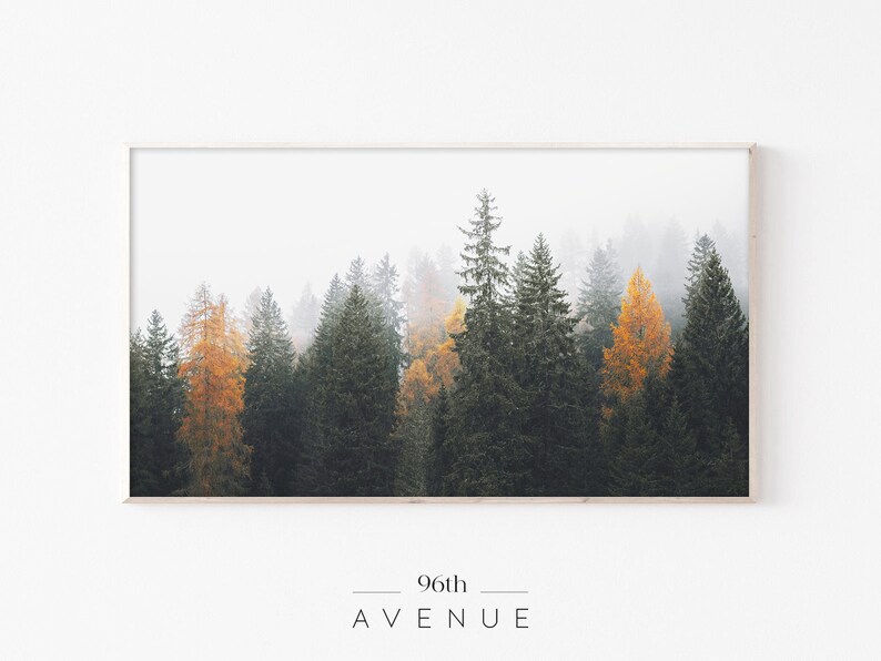 May include: A framed photograph of a misty forest scene with tall evergreen trees in shades of green and yellow. The trees are in the background, with a white, foggy sky in the foreground.