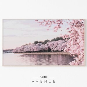 Pode incluir: Uma fotografia emoldurada de um lago cercado por árvores com flores de cerejeira rosa em flor. O céu é de um rosa e roxo suave. O texto "96th AVENUE" está impresso abaixo da imagem.