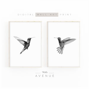Juego de 2 impresiones de colibríes / Impresiones en blanco y negro / Decoración infantil / Arte mural de colibríes / Arte de aves imprimible / Arte abstracto animal