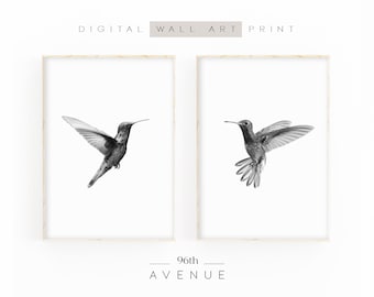 Hummingbird Print Set Of 2 | Black And White Prints | Nursery Decor | Hummingbird Wall Art | Printable Bird Art | Abstract Animal Art