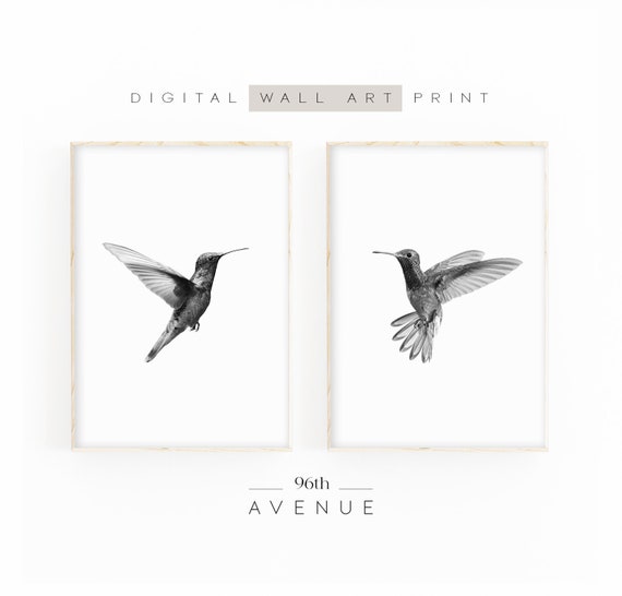 Hummingbird Print Set Of 2 | Black And White Prints | Nursery Decor | Hummingbird Wall Art | Printable Bird Art | Abstract Animal Art