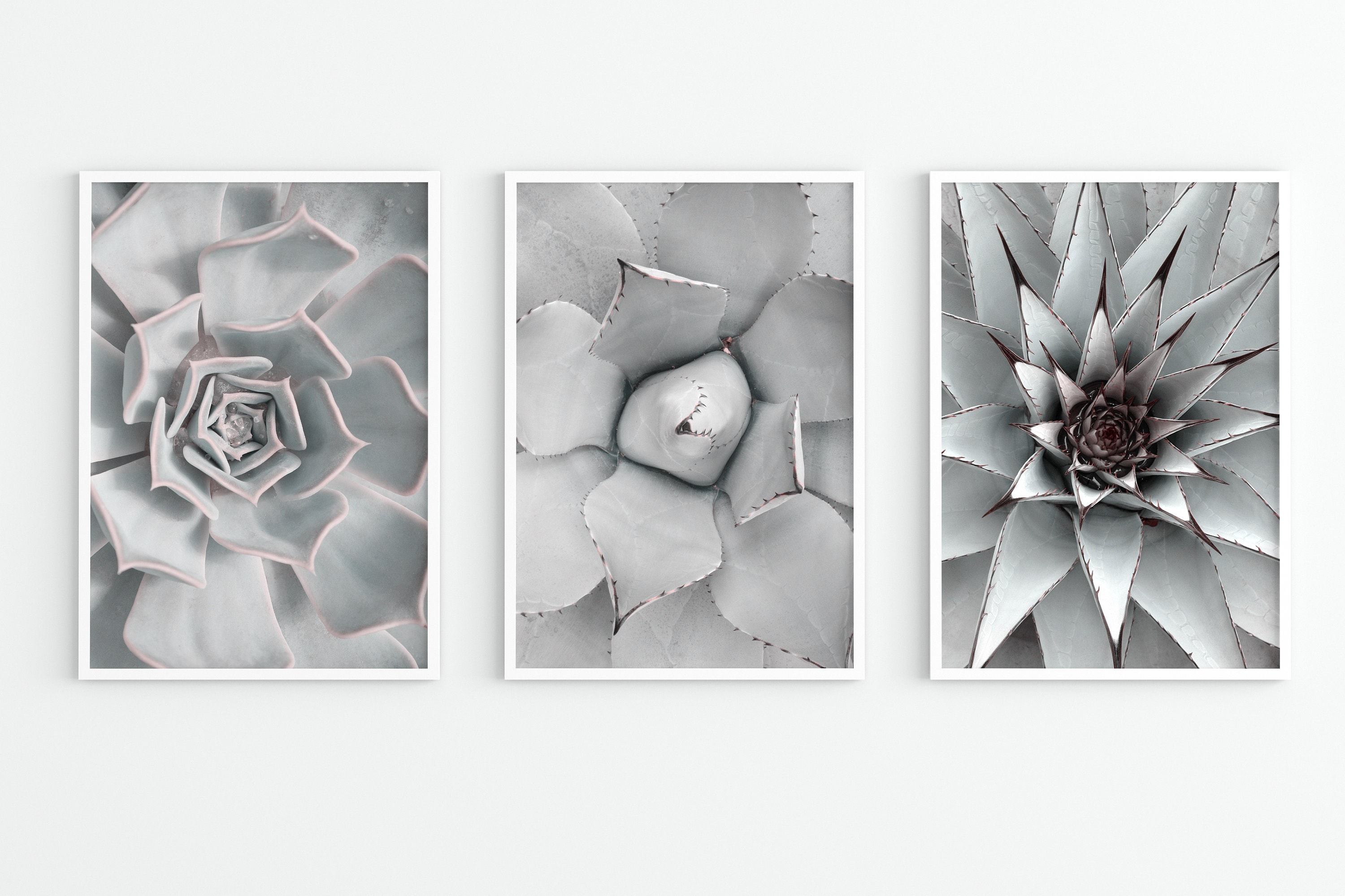 Succulent Wall Art Set of 3 Prints | Botanical Print Set | Sage Green ...