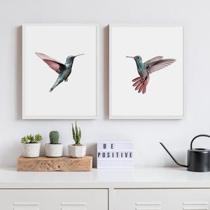 Może przedstawiać: Dwa oprawione wydruki akwarelowych ilustracji kolibr&oacute;w. Koliber po lewej stronie jest zielony i niebieski z r&oacute;żowym brzuchem. Koliber po prawej stronie jest niebieski i zielony z r&oacute;żowym brzuchem i r&oacute;żowymi pi&oacute;rami ogona. Wydruki wiszą na białej ścianie nad białą p&oacute;łką z drewnianym tacem, na kt&oacute;rym znajdują się trzy małe doniczki z roślinami i świecący napis "BE POSITIVE".