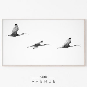 Bird Art For Samsung Frame Tv