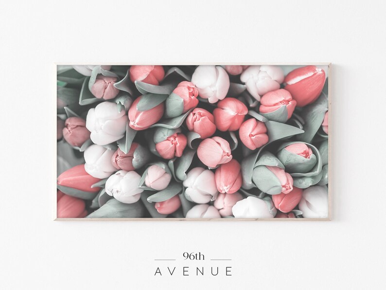 May include: A close-up image of a bouquet of pink and white tulips. The tulips are arranged in a tight cluster, with their stems and leaves visible. The image is in a soft, muted colour palette.