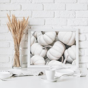 Puede incluir: Una impresi&oacute;n enmarcada de un arreglo de calabazas blancas. Las calabazas est&aacute;n dispuestas en una pila, algunas superpuestas. El fondo es una pared de ladrillo blanco.