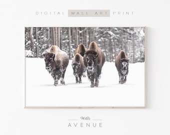 May include: A group of five brown bison walking through a snowy forest. The bison are walking in a single file line, with the leader at the front and the others following behind. The snow is covering the ground and the trees, and the forest is dark and mysterious.