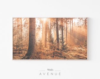 Frame Tv Art Fall | Autumn Forest Samsung Frame Tv Art | Colorful Foliage | Autumn Frame Tv Art | Digital Autumn Photography | Lg Tv Art