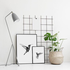 Puede incluir: Dos impresiones enmarcadas en blanco y negro de colibr&iacute;es, una m&aacute;s grande que la otra, colgadas en una pared blanca con una rejilla de alambre negro detr&aacute;s de ellas. Una planta en maceta con hojas verdes se encuentra en la esquina inferior derecha de la imagen.