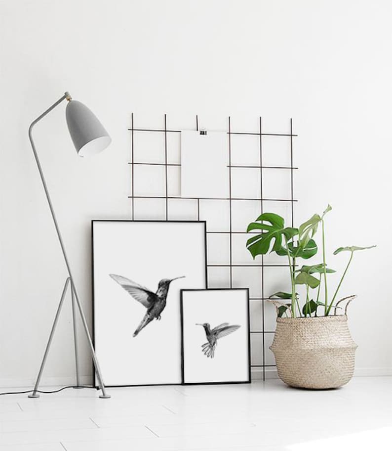 Puede incluir: Dos impresiones enmarcadas en blanco y negro de colibr&iacute;es, una m&aacute;s grande que la otra, colgadas en una pared blanca con una rejilla de alambre negro detr&aacute;s de ellas. Una planta en maceta con hojas verdes se encuentra en la esquina inferior derecha de la imagen.