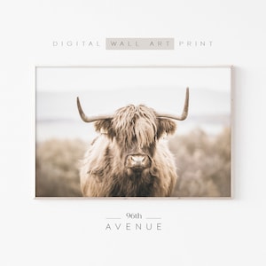 Highland Cow Print | Downloadable Art | Farm Animal Print | Cow Printable | Photography Print | Farmhouse Wall Art | Digital Download