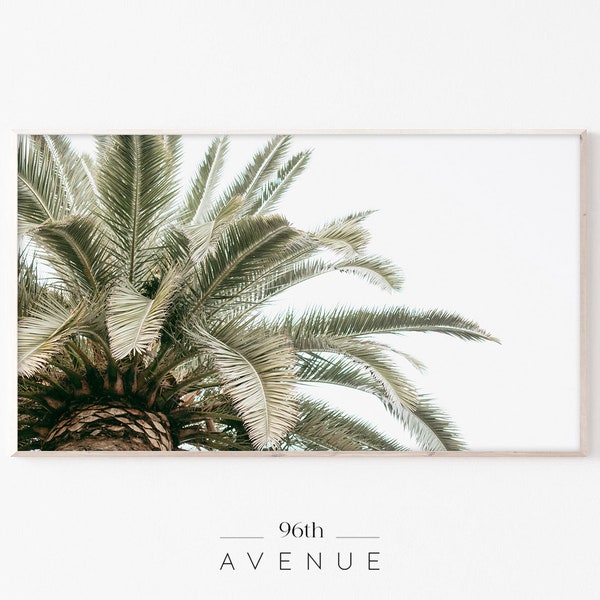 Samsung Frame Tv Art | Palm Trees Tv Art | Frame Art TV | Palms Art Tv | Frame Tv Art | Digital Art for Tv | Palm Tree Photography | Tv Art