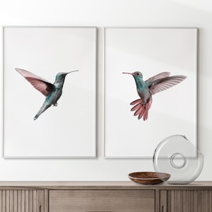 Może przedstawiać: Dwa oprawione wydruki ilustracji kolibr&oacute;w. Kolibry są w locie i mają turkusowo-r&oacute;żową kolorystykę. Wydruki są na białym tle i mają prostą białą ramę.