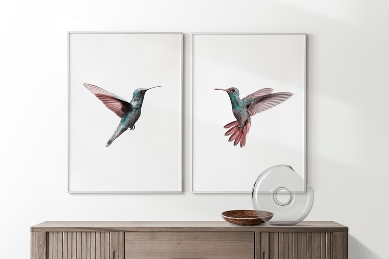 Może przedstawiać: Dwa oprawione wydruki ilustracji kolibr&oacute;w. Kolibry są w locie i mają turkusowo-r&oacute;żową kolorystykę. Wydruki są na białym tle i mają prostą białą ramę.