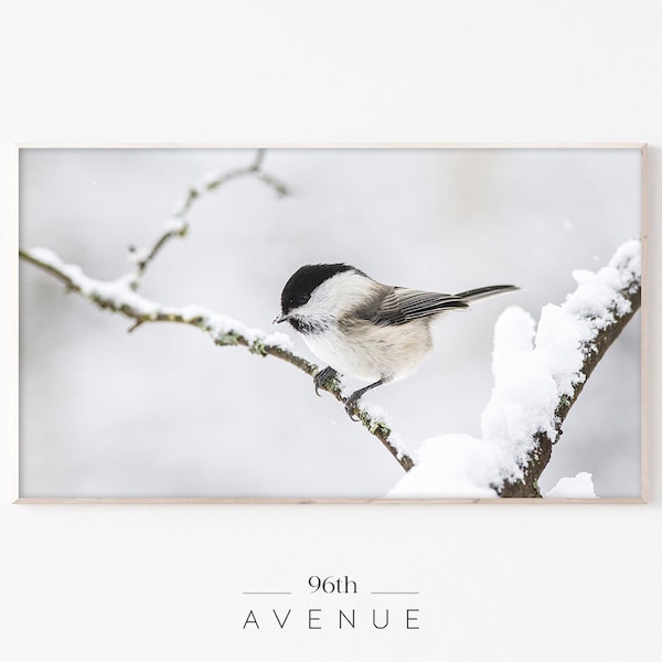 Samsung Frame Tv Art | Bird On Tree Branch Digital Tv Art | Instant Download