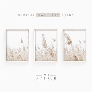 May include: Three framed prints of a field of tall, dried grasses in shades of beige and white. The prints are arranged in a row, with the middle print slightly larger than the other two. The text "96th AVENUE" is printed below the prints.