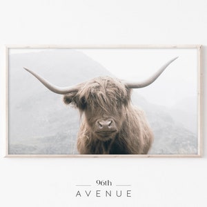 Samsung Frame TV Art | Highland Cow Art For TV | Farmhouse TV Art | Digital Download