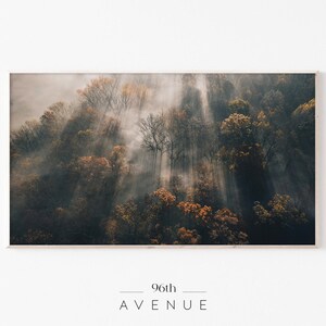 Samsung Frame Tv Art | Foggy Forest Art For TV Digital Download