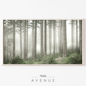 Samsung Frame TV Art | Moody Foggy Forest Landscape | Digital TV Art Download     #2560tv