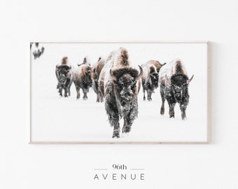 May include: A herd of brown bison walking through a snowy field. The bison are covered in snow and the ground is white.