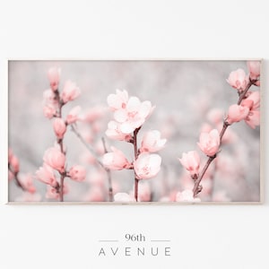 May include: A close-up photograph of delicate pink blossoms on a branch. The flowers are in focus, while the background is blurred and soft, creating a dreamy aesthetic.