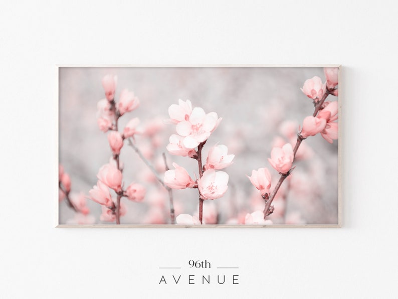 May include: A close-up photograph of delicate pink blossoms on a branch. The flowers are in focus, while the background is blurred and soft, creating a dreamy aesthetic.