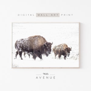 Winter Bison Print | Western Wall Art | Downloadable Prints | Instant Download