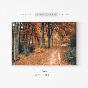 Herbst Wald Wand Kunst | Herbst Fotografie | Sofortdownload | Druckbare rustikale Cottage Dekor