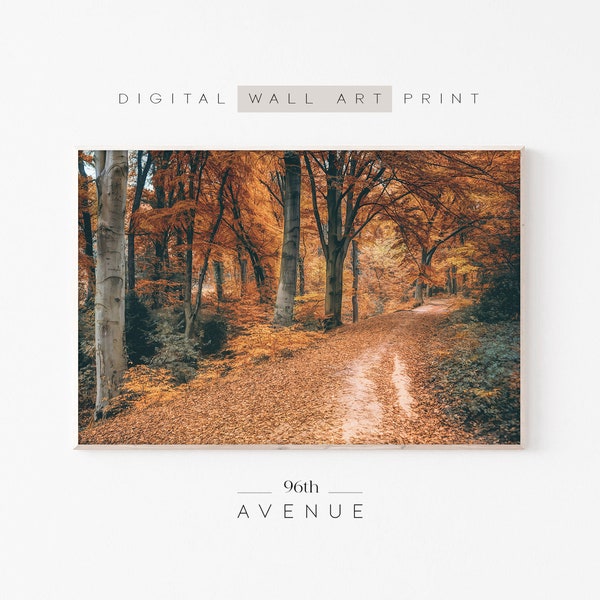 Autumn Forest Wall Art | Fall Photography | Instant Download | Printable Rustic Cottage Decor