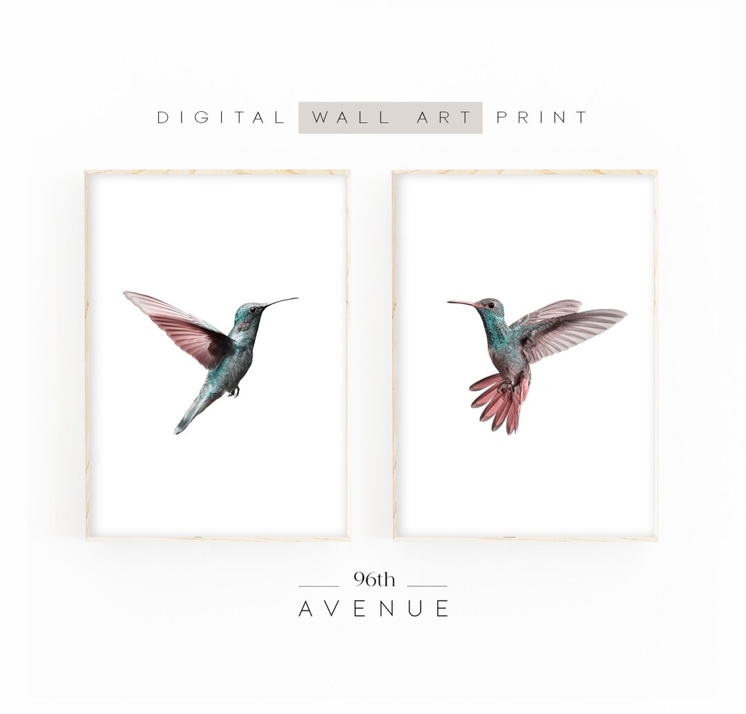 Hummingbird Wall Art set of 2 Prints hummingbird Photography nursery