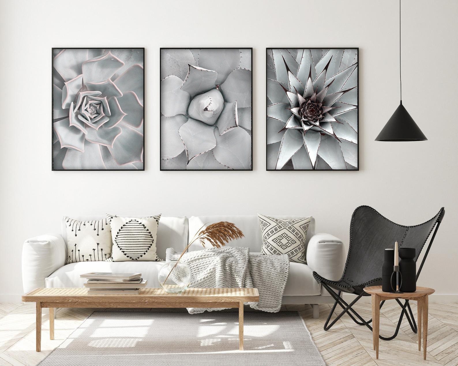 Succulent Wall Art Set of 3 Prints | Botanical Print Set | Sage Green ...