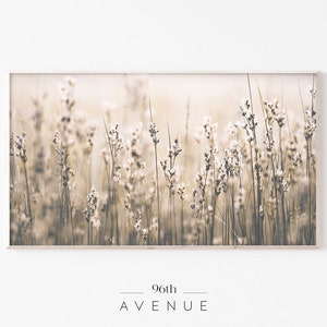 Samsung Frame TV Art | Frame Tv Art  | Wildflowers Photo | Grass Art For Tv | Instant Download | Digital Art For Tv | Samsung Tv Art