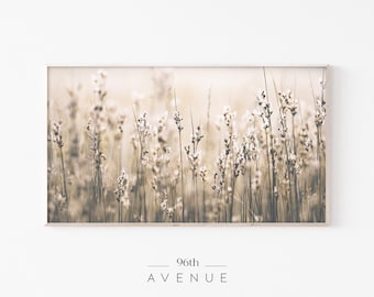 Samsung Frame TV Art | Frame Tv Art  | Wildflowers Photo | Grass Art For Tv | Instant Download | Digital Art For Tv | Samsung Tv Art