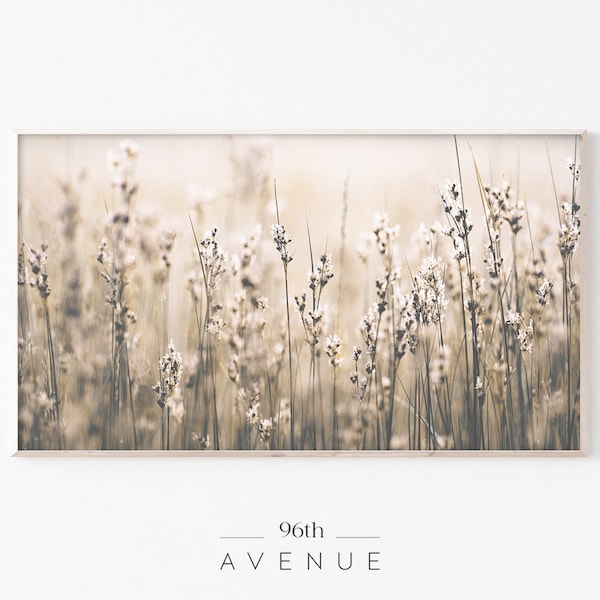 Samsung Frame TV Art | Frame Tv Art  | Wildflowers Photo | Grass Art For Tv | Instant Download | Digital Art For Tv | Samsung Tv Art