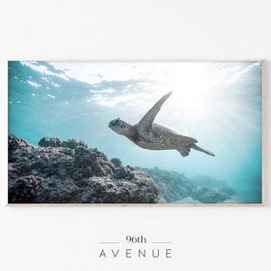 May include: A sea turtle swims through the turquoise water, sunlight shining through the surface. The turtle is in focus, with the coral reef and blue water out of focus in the background.