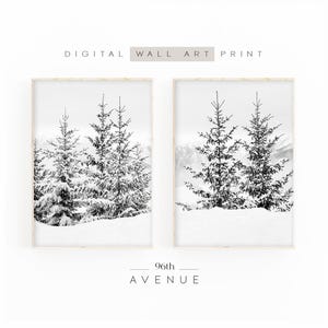 May include: Two black and white photographs of snow-covered pine trees in a winter landscape. The images are framed in a white frame and are part of a set titled "96th Avenue".