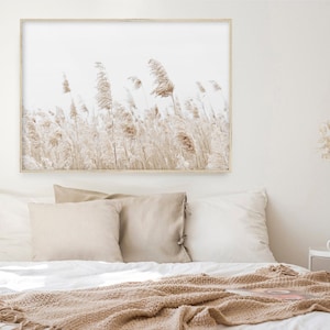 May include: A framed print of a field of tall, dried grasses in shades of beige and brown against a white background.