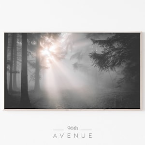 Frame TV Art | Dark Forest Digital Art For Smart TV DOWNLOAD