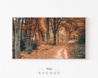 Autumn Forest | Samsung Frame TV Art | Colorful Foliage | Autumn Frame TV Art | Fall Frame TV Art | Digital Autumn Photography | Fall Tv Art