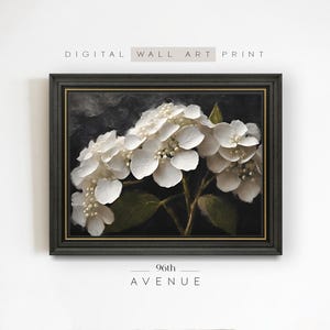 Könnte beinhalten: Ein digitaler Kunstdruck einer weißen Hortensie vor einem dunklen Hintergrund. Der Druck trägt den Titel "96th Avenue".