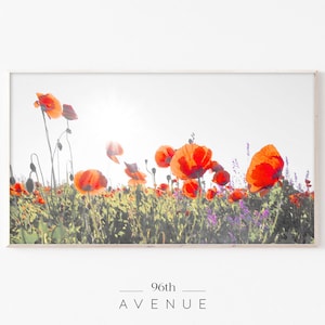 Samsung Frame TV Art | Poppy Field Summer Digital Art For TV | Instant Download