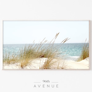 Op de afbeelding: Een foto van een strandscène met hoog gras op de voorgrond en een blauwe zee op de achtergrond. De lucht is lichtblauw en het zand is wit.